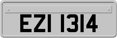 EZI1314