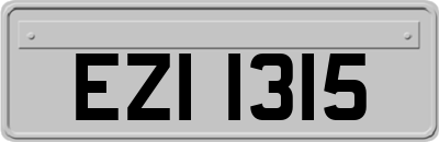 EZI1315
