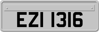 EZI1316