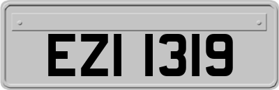 EZI1319