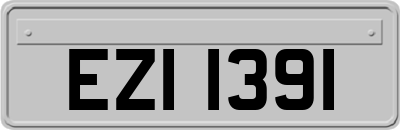 EZI1391