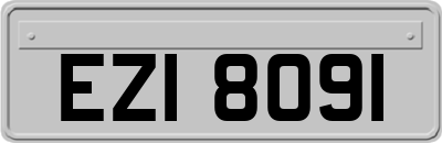 EZI8091