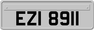EZI8911