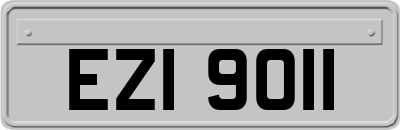 EZI9011