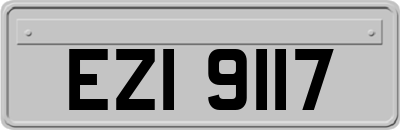 EZI9117
