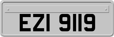 EZI9119