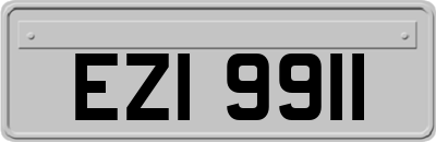EZI9911