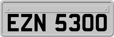 EZN5300