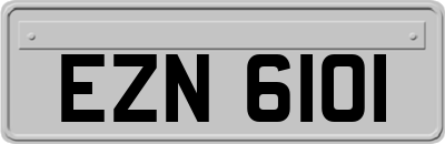 EZN6101