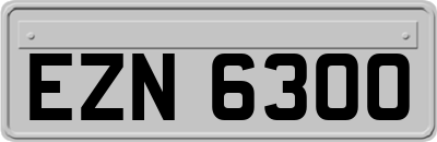 EZN6300