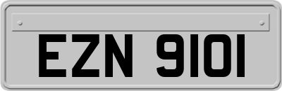 EZN9101