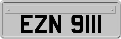 EZN9111