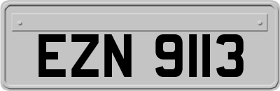 EZN9113