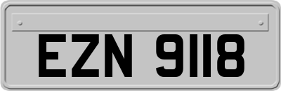 EZN9118