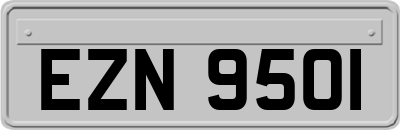 EZN9501