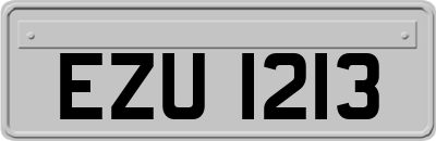 EZU1213
