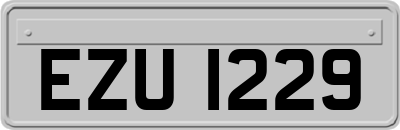 EZU1229