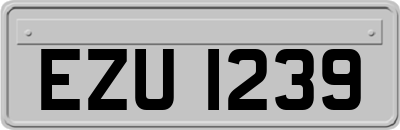 EZU1239