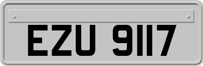 EZU9117