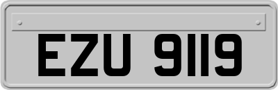 EZU9119