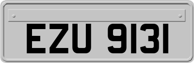 EZU9131