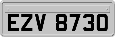 EZV8730