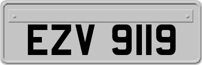 EZV9119