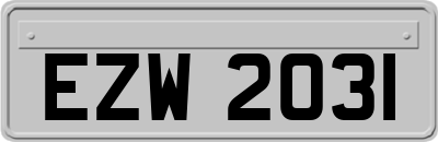 EZW2031