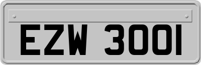 EZW3001