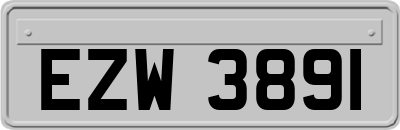EZW3891