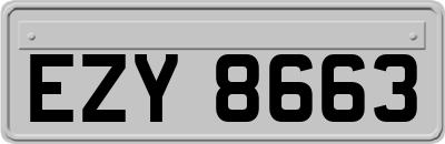 EZY8663