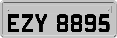 EZY8895