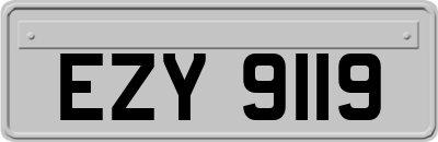 EZY9119