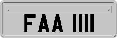 FAA1111