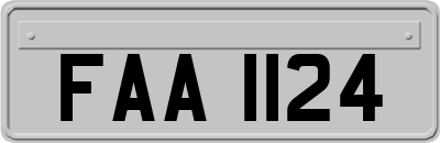 FAA1124