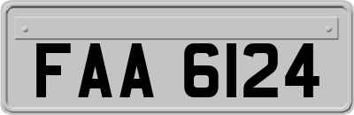 FAA6124