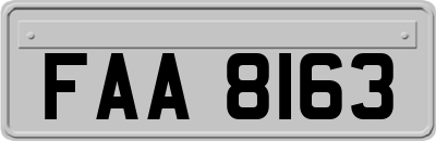 FAA8163