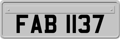 FAB1137