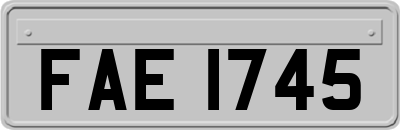 FAE1745