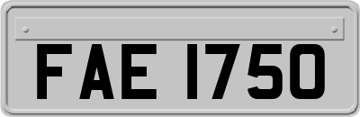 FAE1750