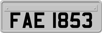 FAE1853