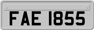 FAE1855