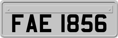 FAE1856