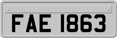 FAE1863