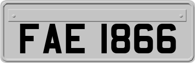 FAE1866