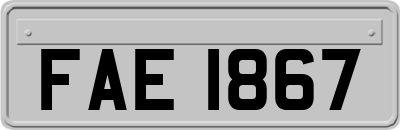 FAE1867