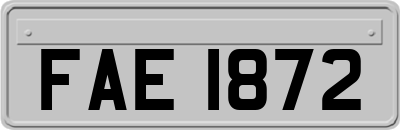 FAE1872