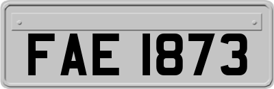FAE1873