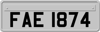 FAE1874