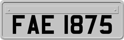 FAE1875